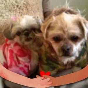 Meet your Posher, Mardi